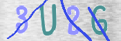 CAPTCHA 驗證圖片