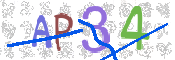 CAPTCHA 驗證圖片