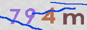 CAPTCHA 驗證圖片